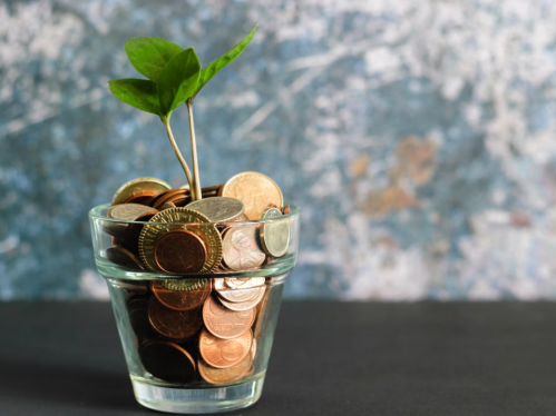 postdoctoral fellowships and grants