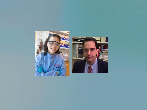 Jing Li and Dimitris Metaxas