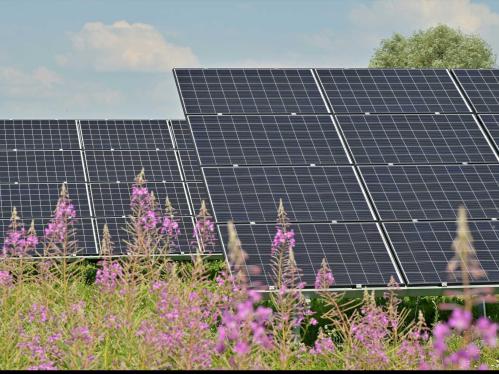 solar panels in field 